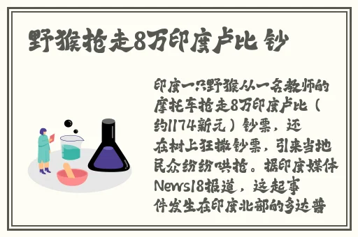 99久视频只有精品2019